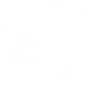 icon7
